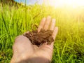 One young man`s hand holding the soil and planting. against a green plant background. sunlight. bright sky Royalty Free Stock Photo