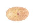 One young potatoe isolated on white background Royalty Free Stock Photo