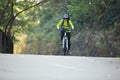 Woman cyclist riding mountain bike on forest trail Royalty Free Stock Photo