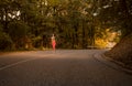 One young woman, outdoors jogging running on asphalt road, fores