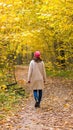 A one female walks in a beautiful autumnal yellow forest