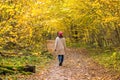 A one young woman walks in a beautiful autumnal yellow forest