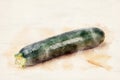 One zucchini on wooden table in watercolors