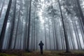 Oneman in the foggy autumn forest.