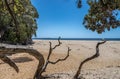 Onemana Beach, Coromandel Pensinsula, New Zealand