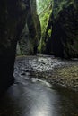 Oneonta Gorge in Oregon Royalty Free Stock Photo