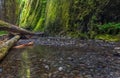 Oneonta gorge trail in Columbia river gorge, Oregon.