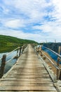 Ong Cop bridge woods Phu Yen, Vietnam.