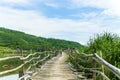 TUY HOA, PHU YEN, VIETNAM, April 14th, 2018: Ong Cop bridge woods Phu Yen, Vietnam