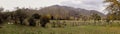 Coloured mountain landscape with bushes, trees and generic vegetation. Cloudy autumn afternoon in a rural area