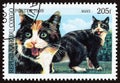 ONGO REPUBLIC - CIRCA 1999: A stamp printed in Congo from the `Cats` issue shows Manx, circa 1999. Royalty Free Stock Photo