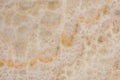Onice Cappuccino texture, stylish background in light color for design. Royalty Free Stock Photo