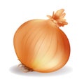 Onion