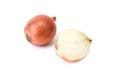 Onion Royalty Free Stock Photo