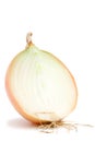 Onion Royalty Free Stock Photo