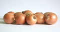 Onion Royalty Free Stock Photo