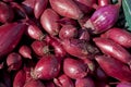 Red onion background in a box 