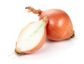 Onion