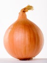 Onion Royalty Free Stock Photo