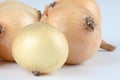 Onion