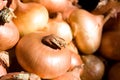 Onion Royalty Free Stock Photo