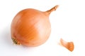 Onion