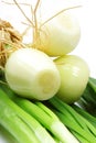 Onion Royalty Free Stock Photo