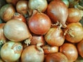 onion background for cooking