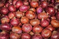 Onion background