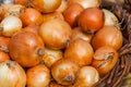 Onion Background Royalty Free Stock Photo