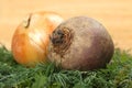 Onion, beetroot and fresh dill leaves close-up. Selective focus