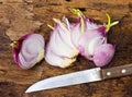 Onion bulb and sliced onions and knife