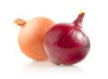 Onion Bulbs on White Background