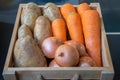 Onion, Carrot and Potato in wood box with studiolight Royalty Free Stock Photo