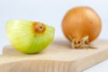 Onion on a chopping board on a white kitchen table. Vegetables f Royalty Free Stock Photo