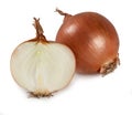 Onion - `Cipolla` Isolated on White Royalty Free Stock Photo