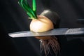 Onion cut with a knife