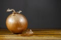 Onion on a cutting board with dark background