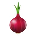 Onion 3d bulb isolated Royalty Free Stock Photo
