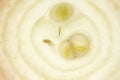 Onion detail Royalty Free Stock Photo