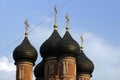 onion dome of the russian orthodox church
