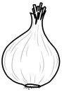 Onion doodle outline for colouring