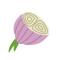 Onion in doodle style. Vegetable food and harvest. Simple drawing.