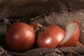 Onion farm burlap Royalty Free Stock Photo