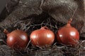 Onion farm burlap agriculturalagriculture animal background Royalty Free Stock Photo