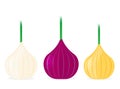 Onion flat design vector icon
