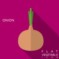 Onion flat icon illustration with long shadow