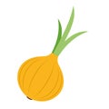 Onion flat icon