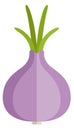 Onion flat icon. Spicy healthy vegetable root