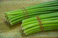 Onion flower, Allium cepa, Welsh Onion, Allium flower on chopping board Royalty Free Stock Photo